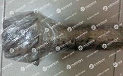 XKBQ-00046 Хвостовик планетарной шестерни Hyundai HL770-7A 