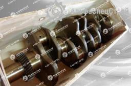 1W-5009 Коленвал для Caterpillar D10